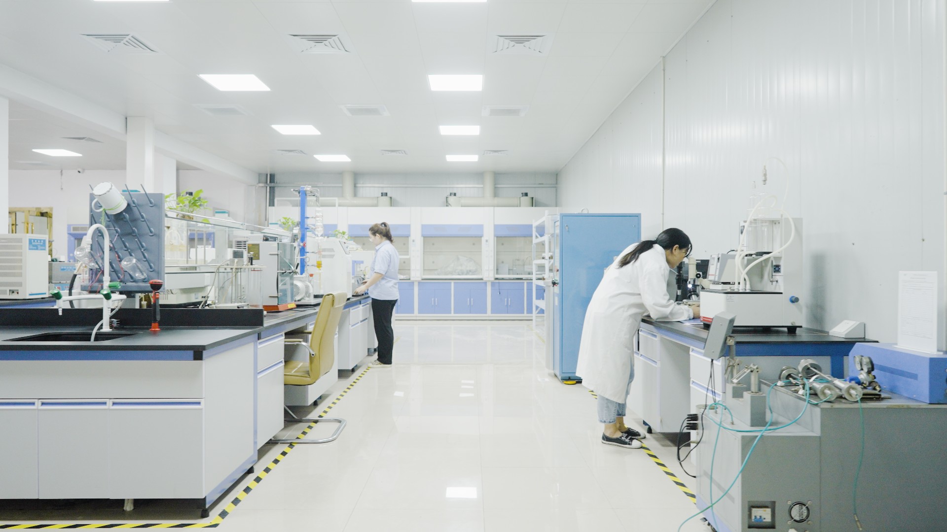 1641774464854914.jpg C4185.00_07_57_22.Still021.jpg